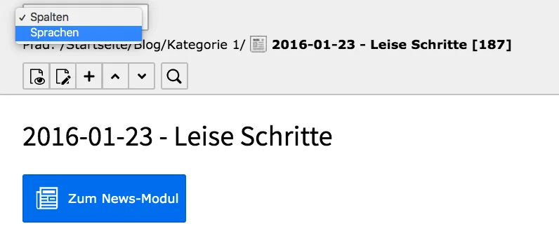 TYPO3 Inhaltsbereich Optionen Spalten Sprachen