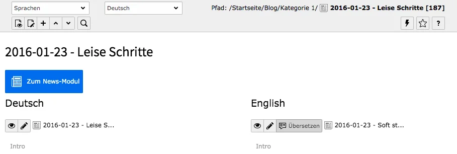 TYPO3 Seiteninhalte übersetzen