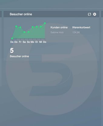 Shopware backend sales
