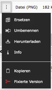TYPO3 Dateiliste Option Fixierte Version