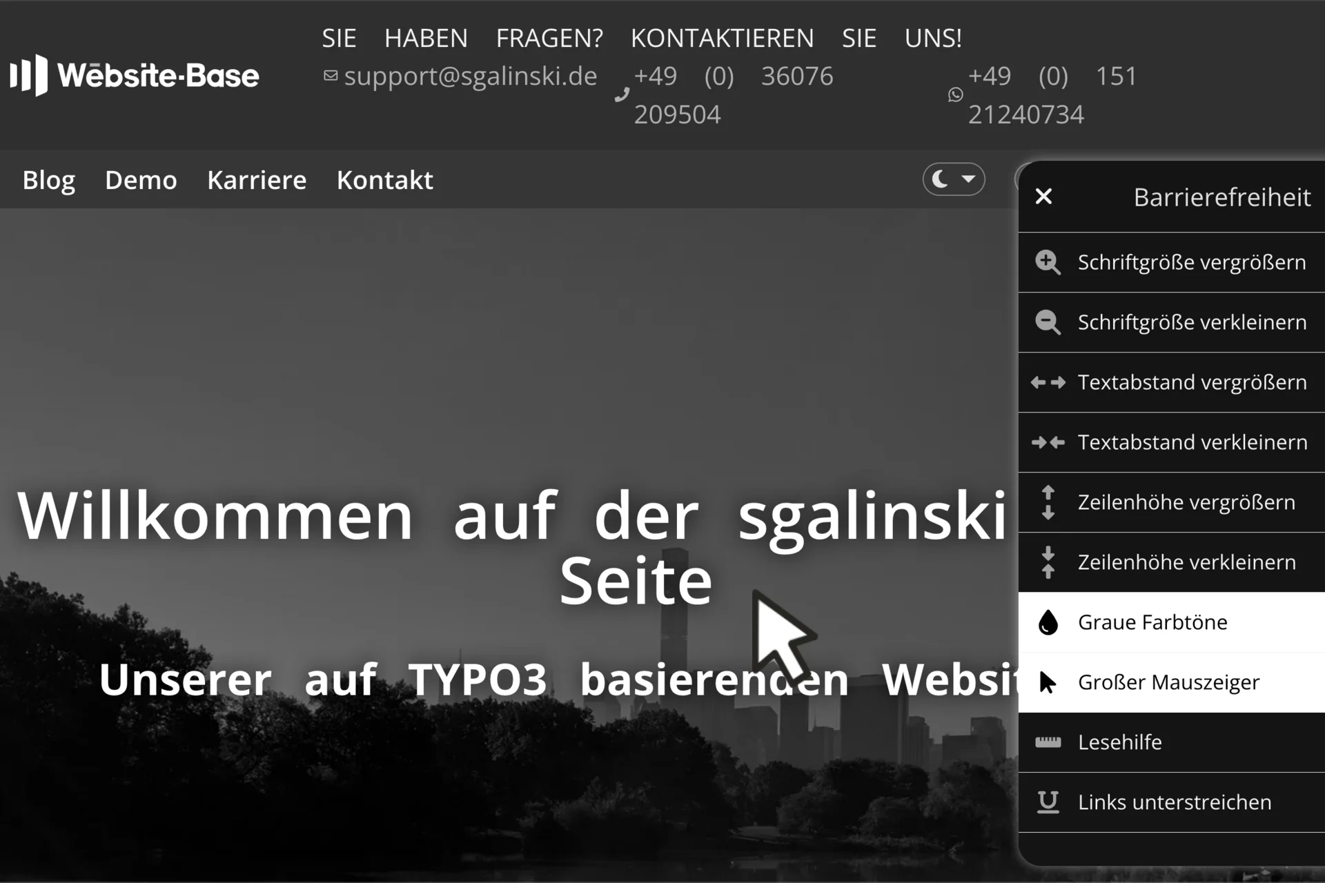 TYPO3 Website Base settings for accessibility