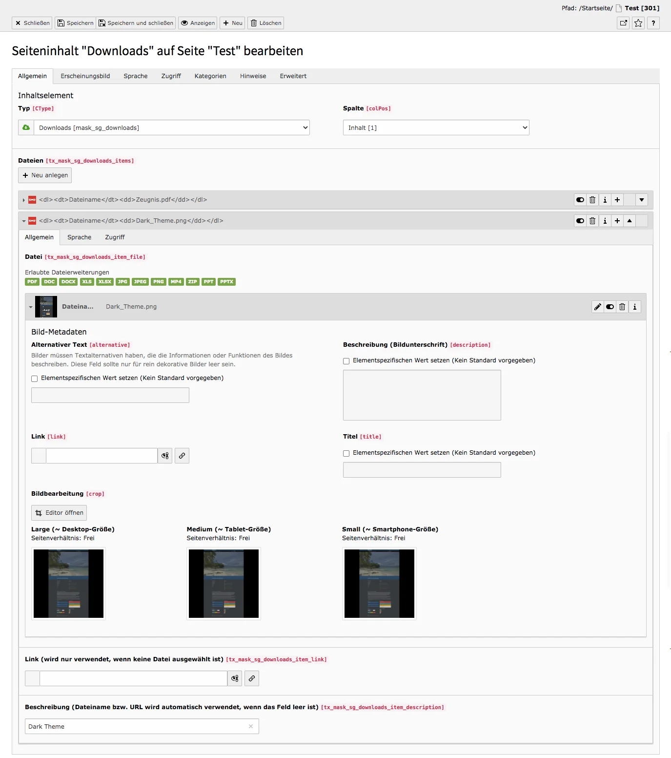 TYPO3 Inhaltselement Mask Elements Downloads Backend Reiter Allgemein