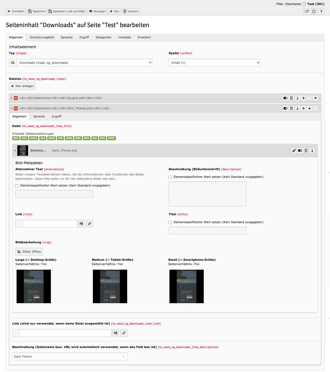 TYPO3 Inhaltselement Mask Elements Downloads Backend Reiter Allgemein