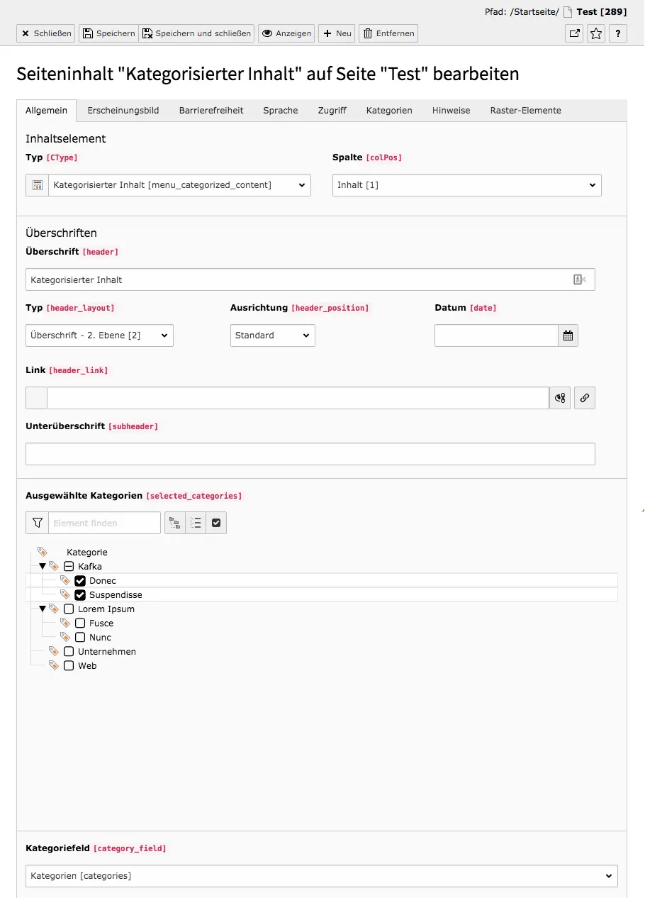 TYPO3 Inhaltselement Kategorisierter Inhalt Reiter Allgemein