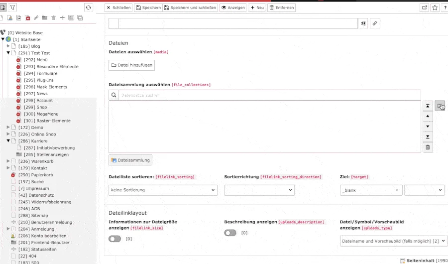 TYPO3 Typische Inhaltselemente Dateisammlung mit Inhaltselement verknüpfen