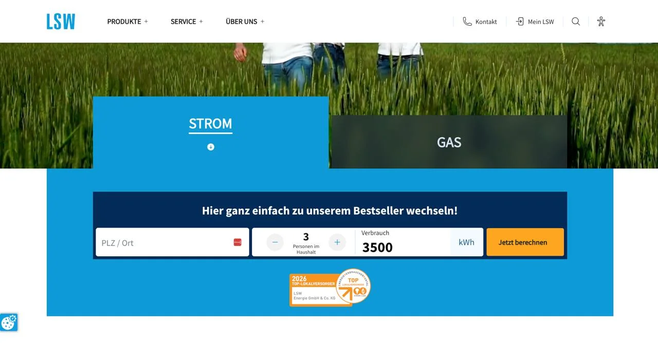 LSW site screenshot