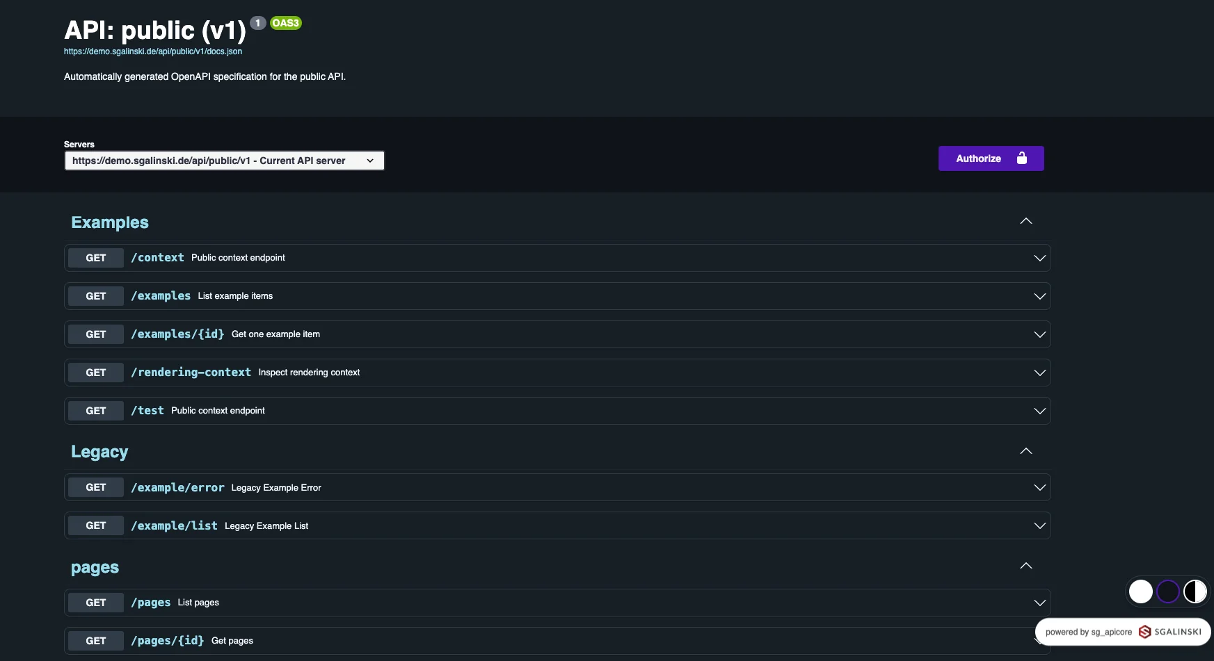 Screenshot of public API v1 docs with GET endpoints listed under Examples, Legacy, and pages sections plus Authorize button.