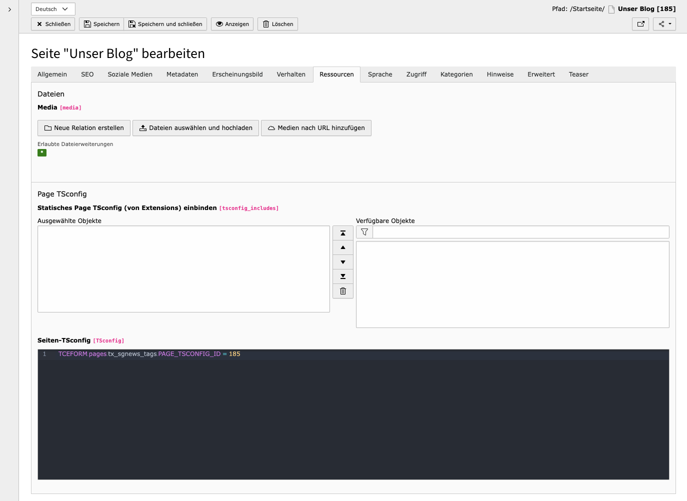 TYPO3 Seiteneigenschaften Reiter Ressourcen