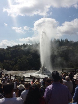 Geysir im Geothermal Wonderland