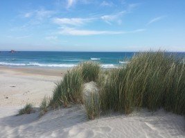 SandFly-Beach