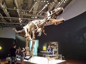 Tyrannosaurus Rex