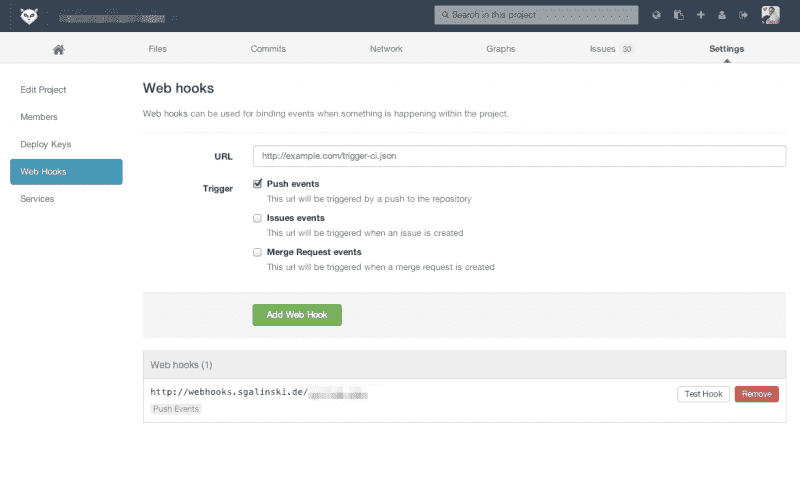 Repository Einstellungen